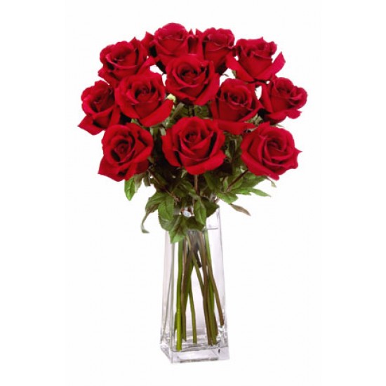 12 Long Stem Premium Roses Wrapped Vase Bouquet
