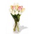 10 Mixed Holland Tulips Vase Bouquet