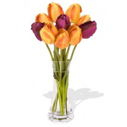 10 Mixed China Tulips Bouquet